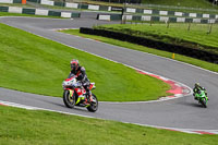 cadwell-no-limits-trackday;cadwell-park;cadwell-park-photographs;cadwell-trackday-photographs;enduro-digital-images;event-digital-images;eventdigitalimages;no-limits-trackdays;peter-wileman-photography;racing-digital-images;trackday-digital-images;trackday-photos